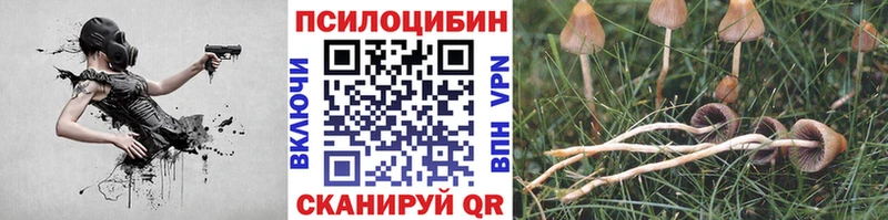 Псилоцибиновые грибы мицелий  как найти закладки  Курчалой 