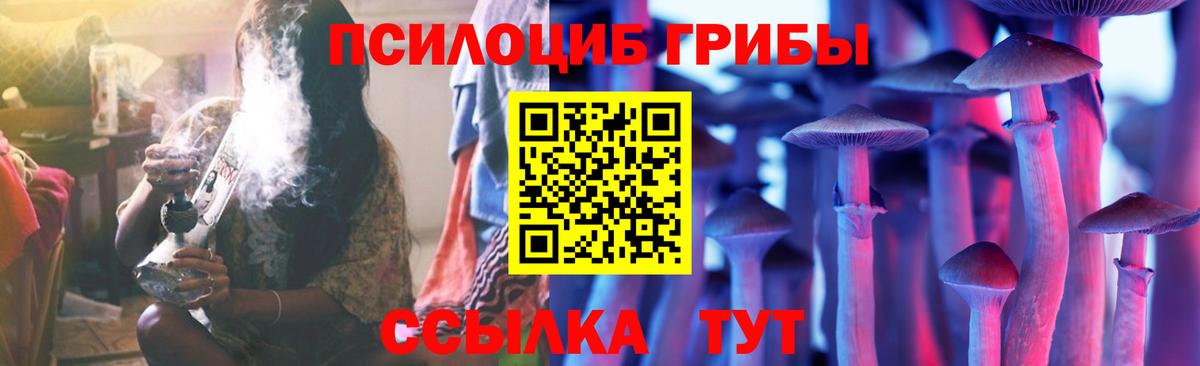 Курчалой  даркнет сайт  Вход с VPN  Псилоцибиновые грибы MAGIC MUSHROOMS 